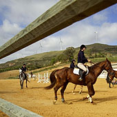 Dolce Campo Real Hotel offers Horse Riding packages